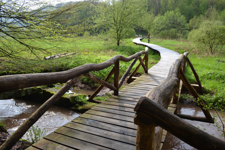 Holzsteg mit Gel&auml;nder &uuml;ber Bach, f&uuml;hrt geschwungen durch gr&uuml;ne Wiesenlandschaft.