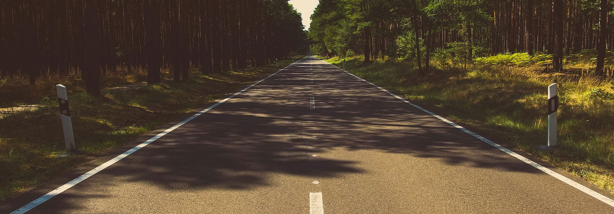 Gerade, leere Straße durch dichten Wald mit weißen Markierungen und Begrenzungspfosten, Licht-Schatten-Spiel durch Baumkronen.