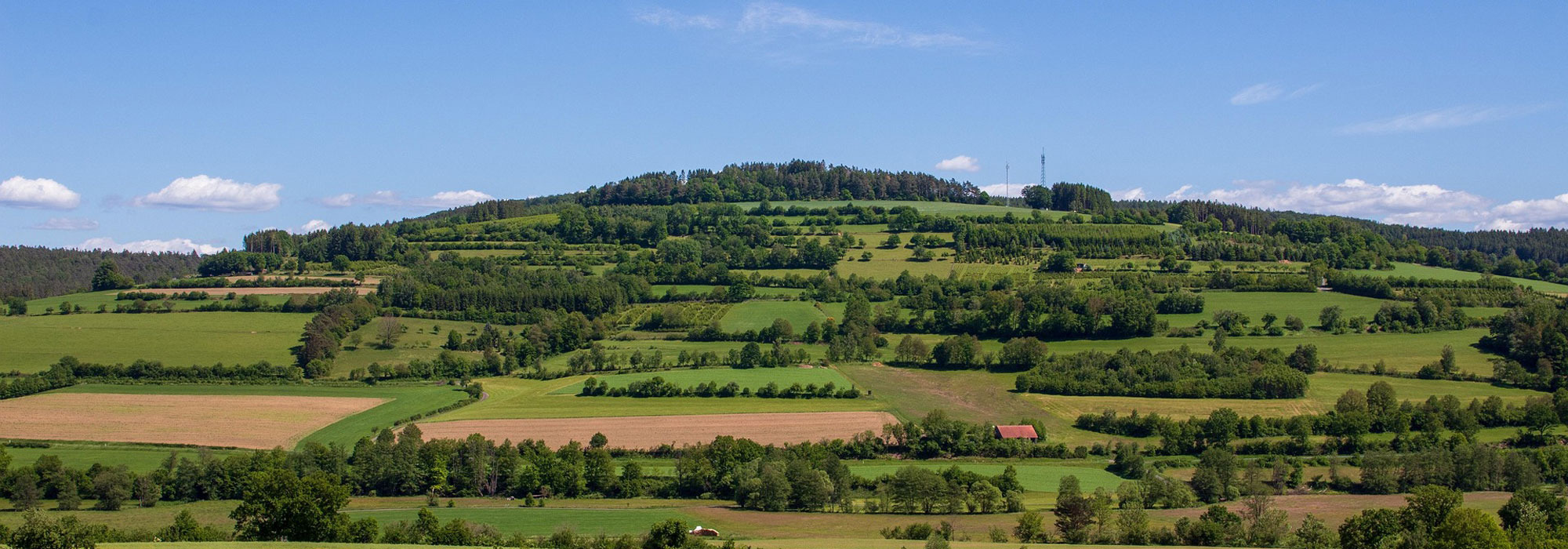 Grüne Hügel mit Feldern, Bäumen und blauem Himmel mit wenigen Wolken im Hintergrund.